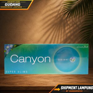 Canyon Gum Mint Superslim
