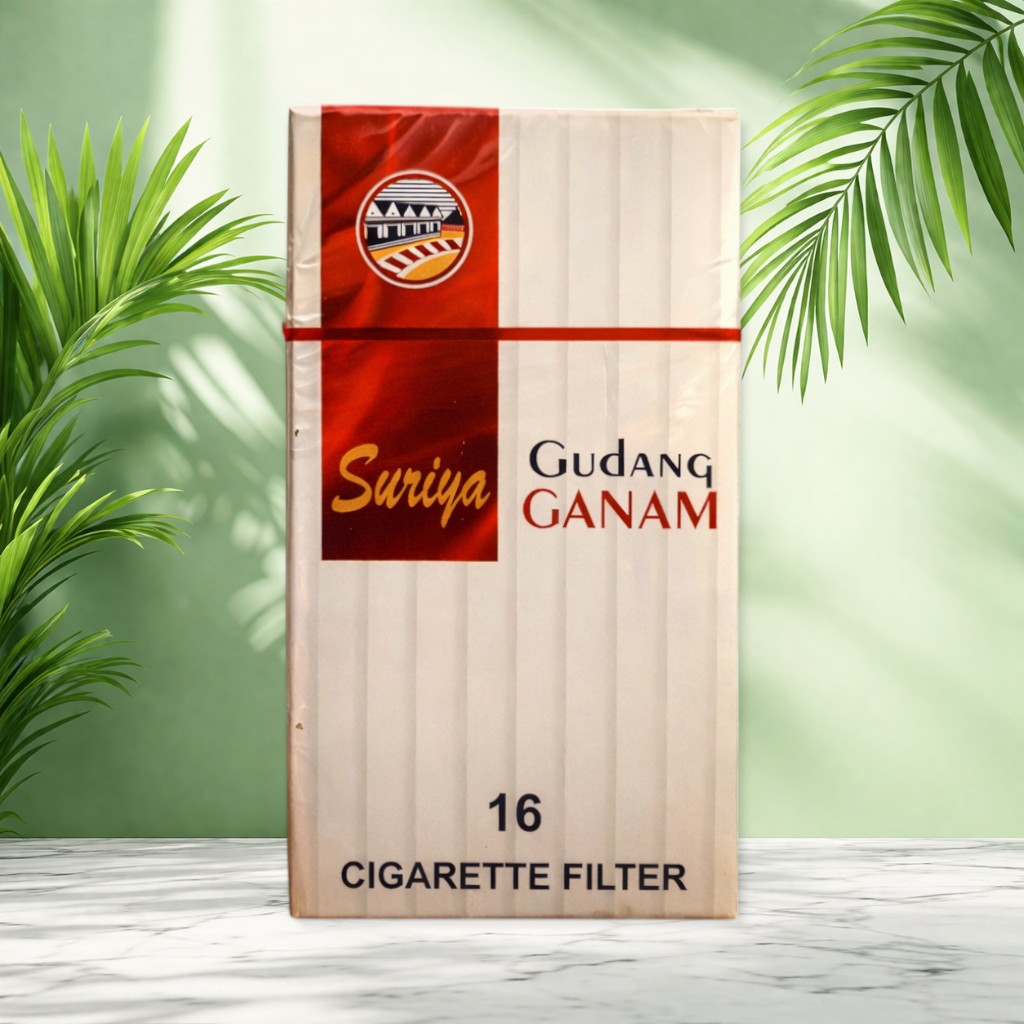 Gudang Ganam Suriya 16