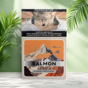 Salmon Bold Original