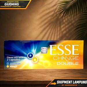 Esse Change Double Applemint Mango