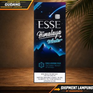Esse Himalaya Winter Import Korea